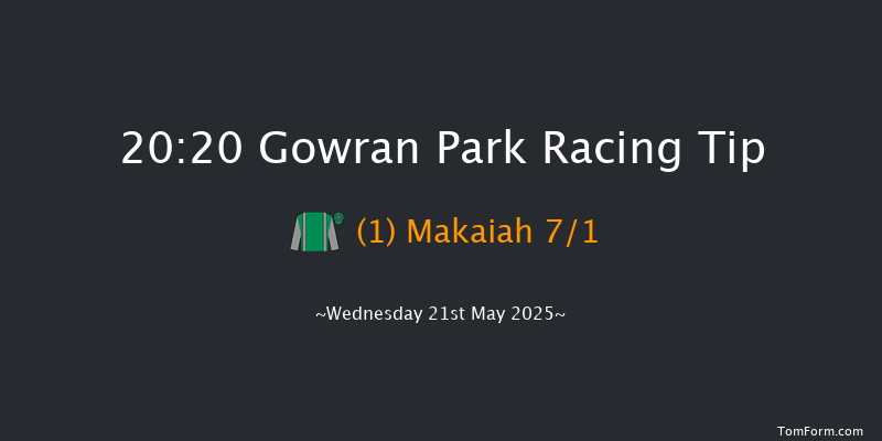 Gowran Park 20-20 16f Wed 7th May 2025