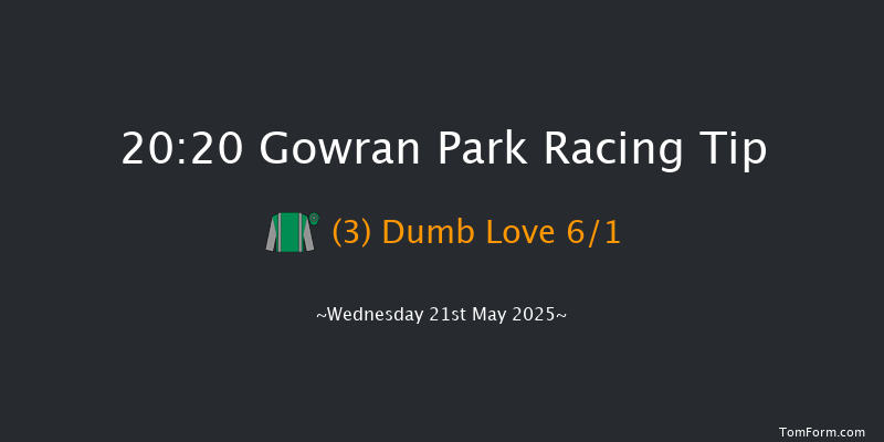 Gowran Park 20-20 16f Wed 7th May 2025