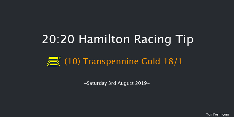 Hamilton 20:20 Handicap (Class 6) 9f Tue 2nd Jul 2019