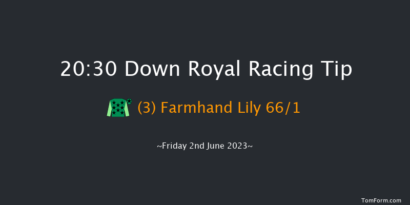 Down Royal 20:30 NH Flat Race 17f Mon 1st May 2023