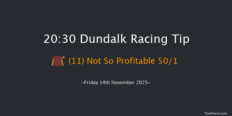 Dundalk 20-30 10f Wed 12th Nov 2025