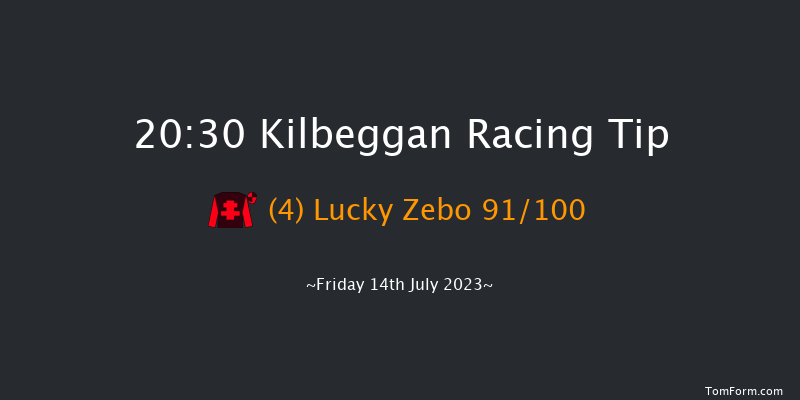 Kilbeggan 20:30 Maiden Chase 19f Mon 19th Jun 2023