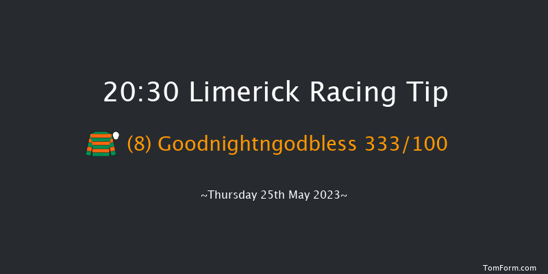 Limerick 20:30 Handicap Chase 26f Sat 22nd Apr 2023