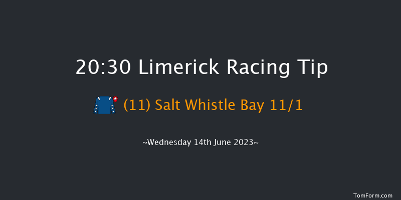 Limerick 20:30 Handicap 8f Fri 26th May 2023
