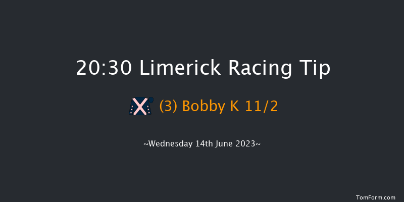 Limerick 20:30 Handicap 8f Fri 26th May 2023