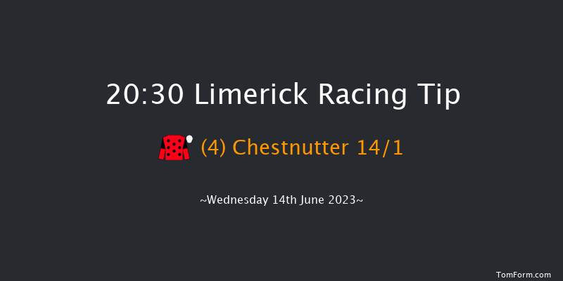 Limerick 20:30 Handicap 8f Fri 26th May 2023