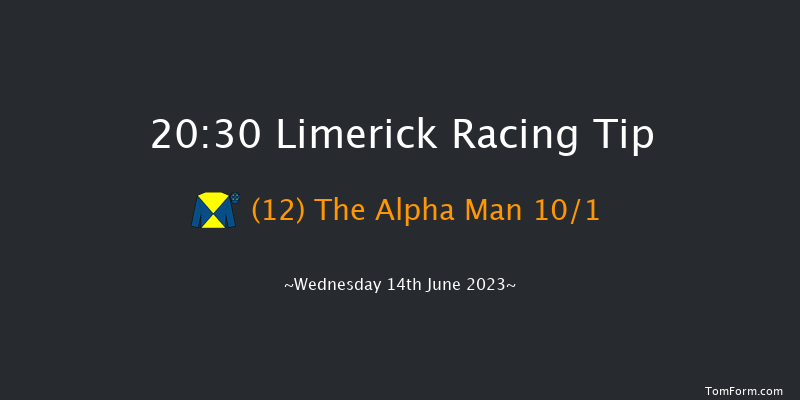 Limerick 20:30 Handicap 8f Fri 26th May 2023