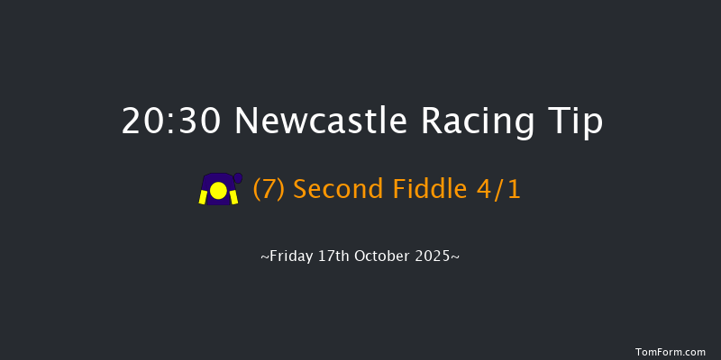 Newcastle 20-30 (Class 6) 8f Tue 14th Oct 2025