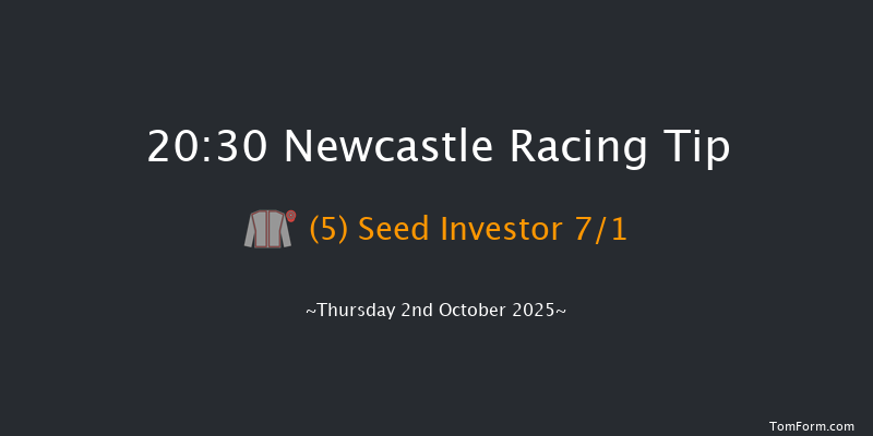 Newcastle 20-30 (Class 6) 8f Tue 30th Sep 2025