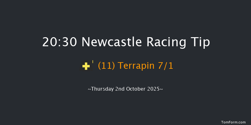 Newcastle 20-30 (Class 6) 8f Tue 30th Sep 2025
