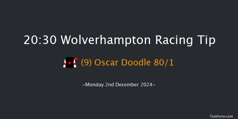 Wolverhampton  20:30 Handicap (Class 6) 12f Sat 23rd Nov 2024