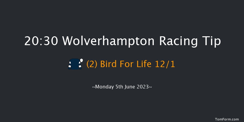 Wolverhampton 20:30 Handicap (Class 6) 16f Thu 25th May 2023