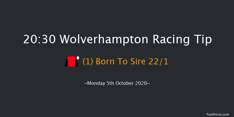 Watch Free Race Replays On atheraces.com Novice Stakes Wolverhampton 20:30 Stakes (Class 5) 5f Sat 3rd Oct 2020
