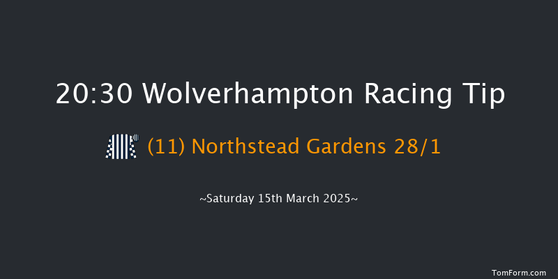 Wolverhampton  20:30 Stakes (Class 6) 12f Fri 14th Mar 2025