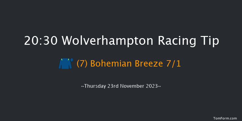 Wolverhampton 20:30 Handicap (Class 4) 12f Wed 22nd Nov 2023