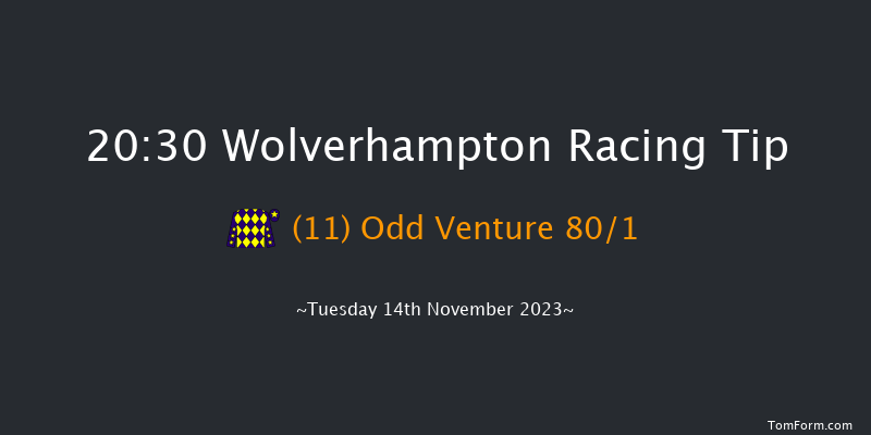 Wolverhampton 20:30 Handicap (Class 6) 12f Mon 13th Nov 2023