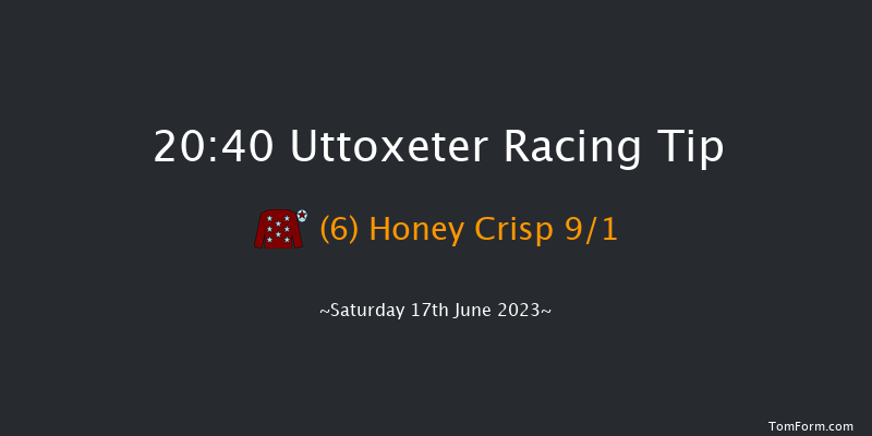 Uttoxeter 20:40 NH Flat Race (Class 5) 16f Thu 8th Jun 2023